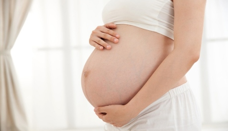 Biochemical Pregnancy and Embryonic Arrest: Who’s to Blame?